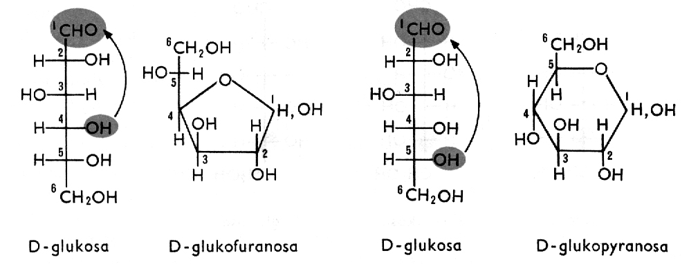 Глюкоза компонент